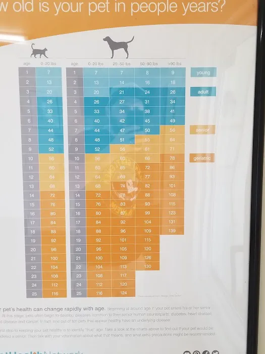 Cypress Dog & Cat Hospital 9