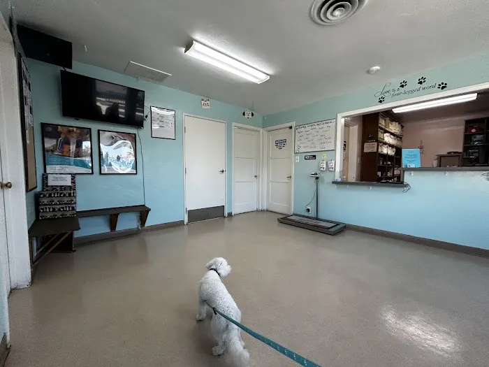 Cypress Dog & Cat Hospital 2