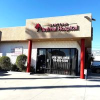 Lincoln Animal Hospital ico