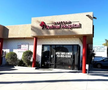 Lincoln Animal Hospital