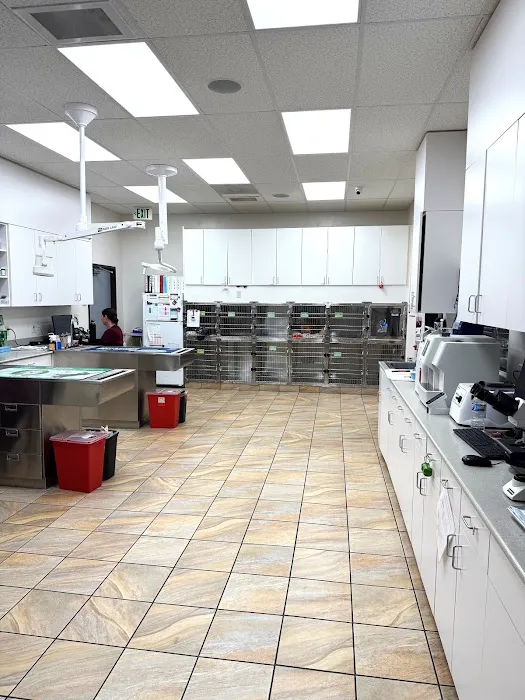 Lincoln Animal Hospital 4