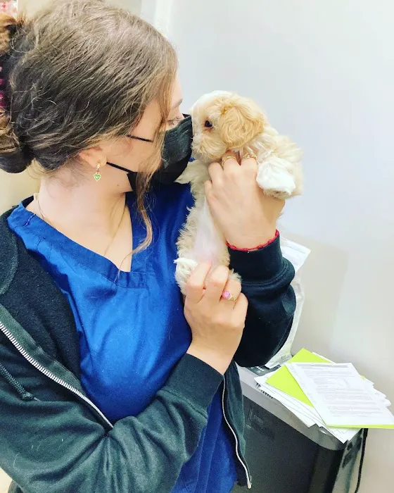 Lincoln Animal Hospital 6