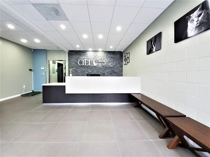 Ciel Animal Hospital 12