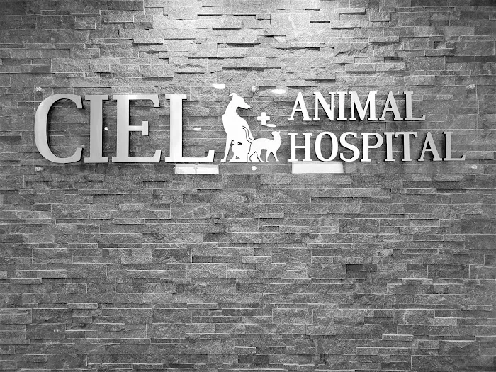 Ciel Animal Hospital 12