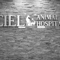 Ciel Animal Hospital ico