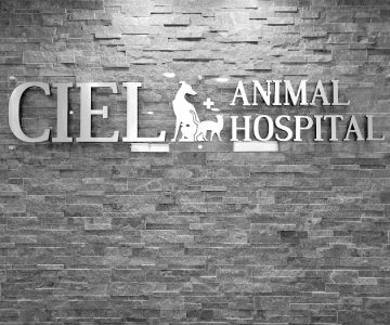 Ciel Animal Hospital