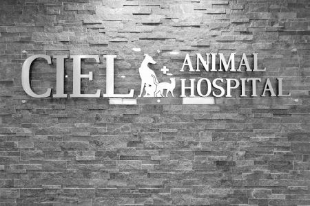 Ciel Animal Hospital