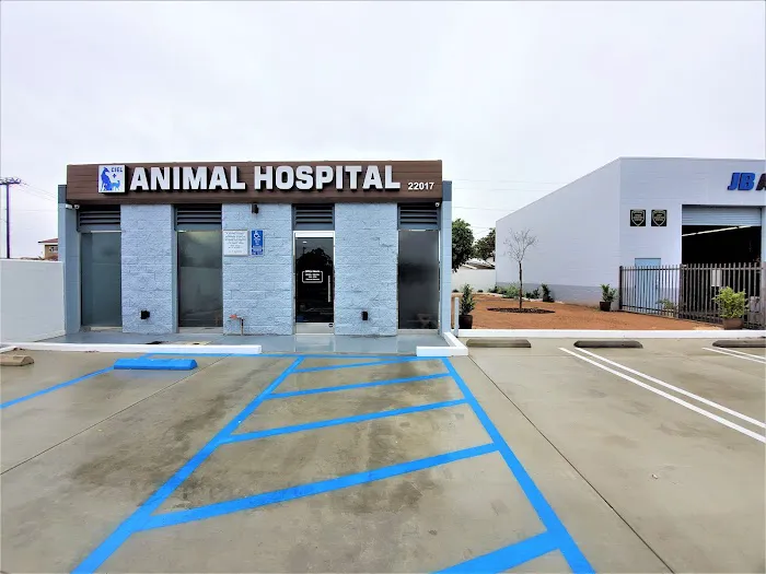 Ciel Animal Hospital 12