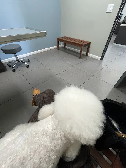Ciel Animal Hospital 12