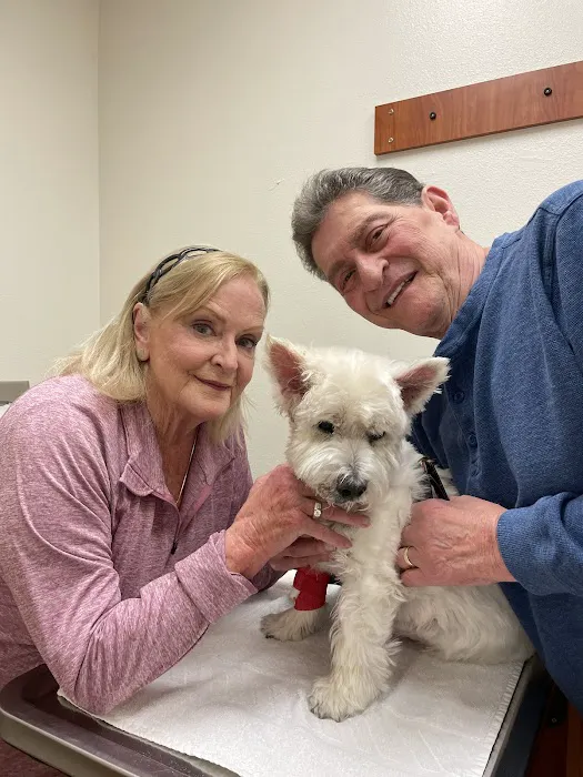 Freckles and Friends Pet Clinic 12
