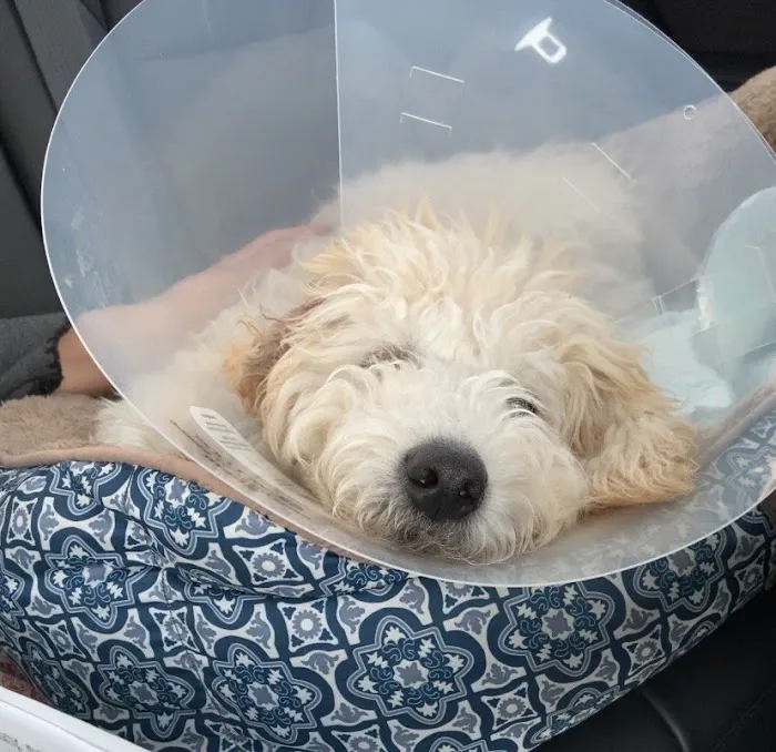 Valley View Animal Hospital 12