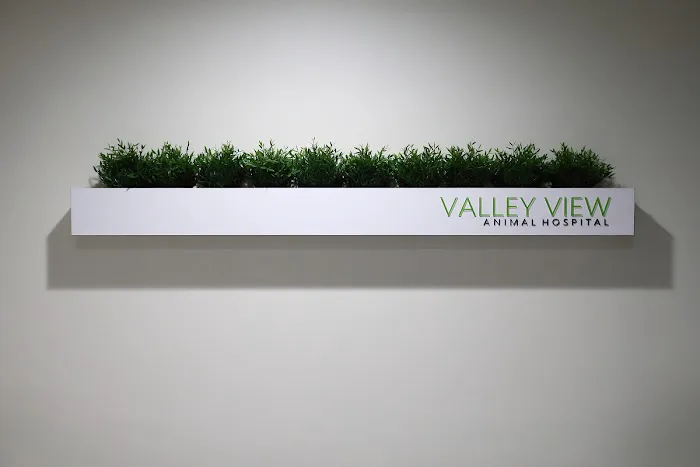 Valley View Animal Hospital 12