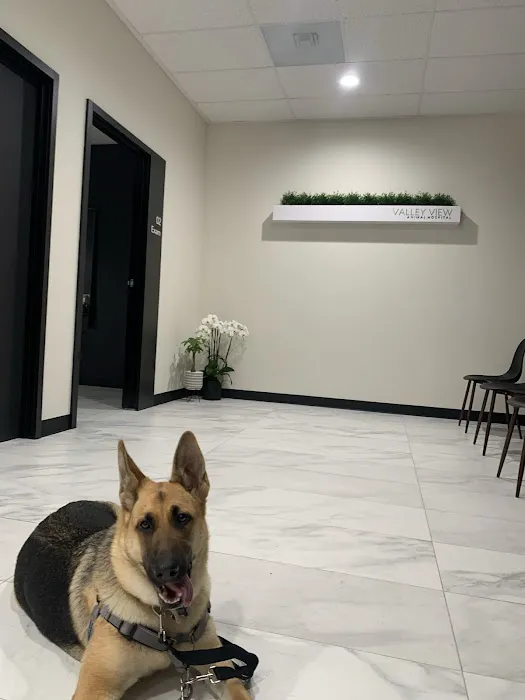 Valley View Animal Hospital 12