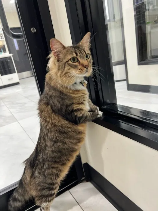 Valley View Animal Hospital 12
