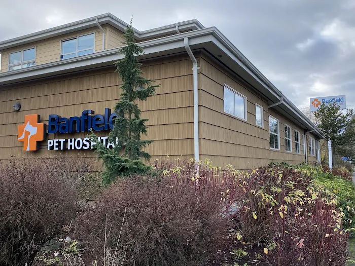 Banfield Pet Hospital 12