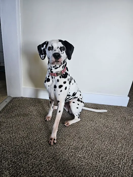 Banfield Pet Hospital 12