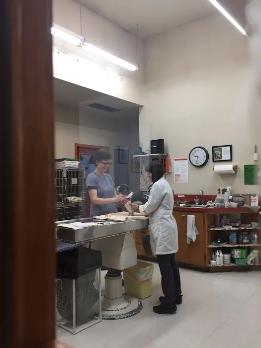 Lake Forest Park Animal Hospital 12