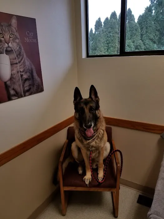 Lake Forest Park Animal Hospital 12