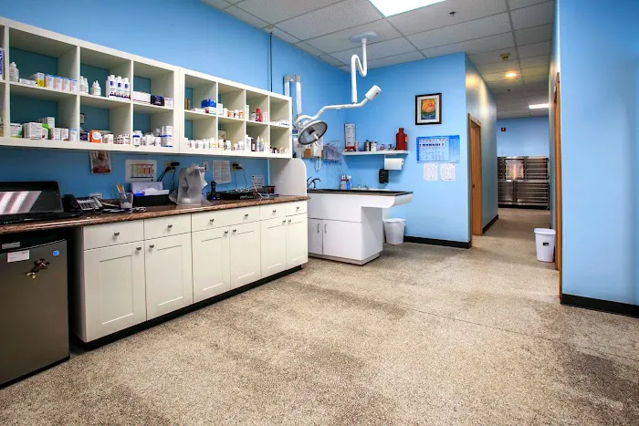 Finn Hill Animal Hospital Kirkland WA 3