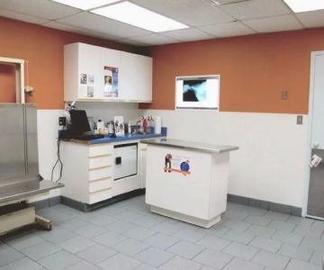 Finn Hill Animal Hospital Kirkland WA