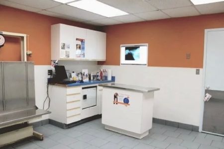 Finn Hill Animal Hospital Kirkland WA