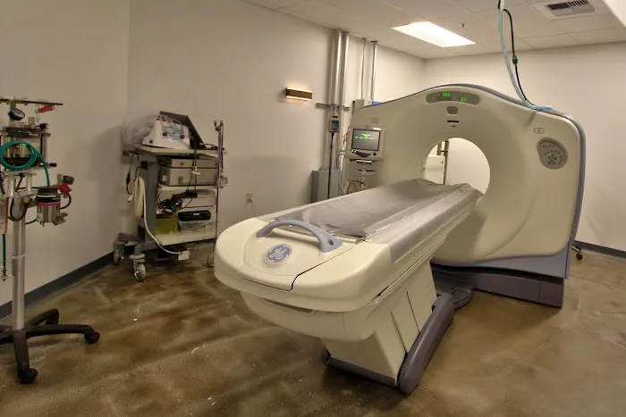 Animal Medical Center of Seattle 5