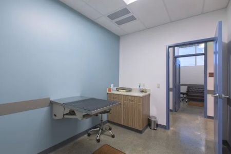 Animal Medical Center of Seattle