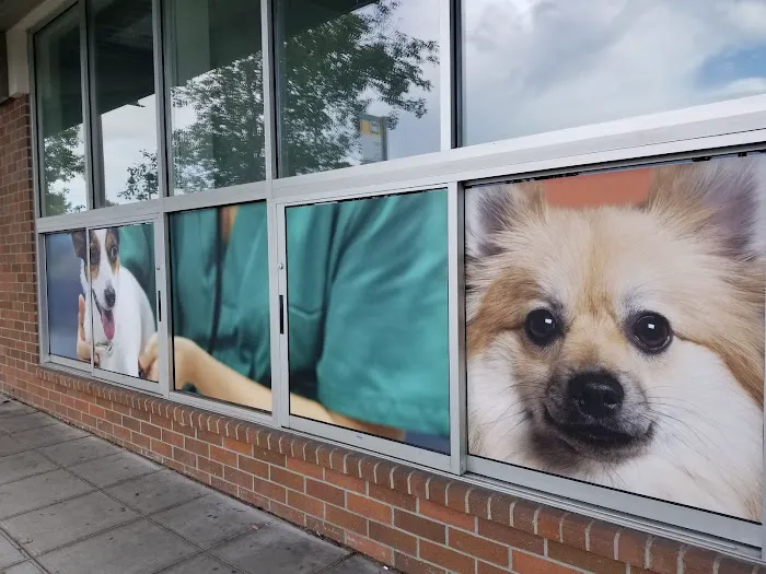 Animal Medical Center of Seattle 2