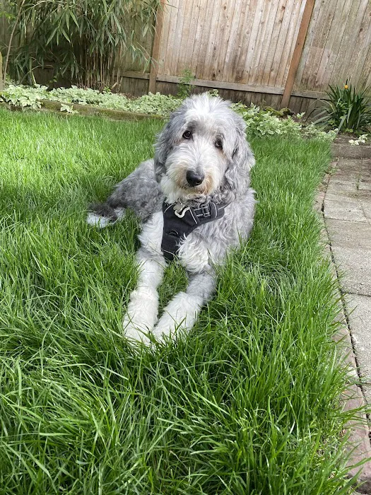 Animal Medical Center of Seattle 8