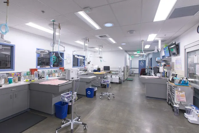 Animal Medical Center of Seattle 3