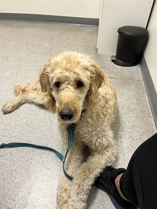 Shoreline Central Animal Hospital 4