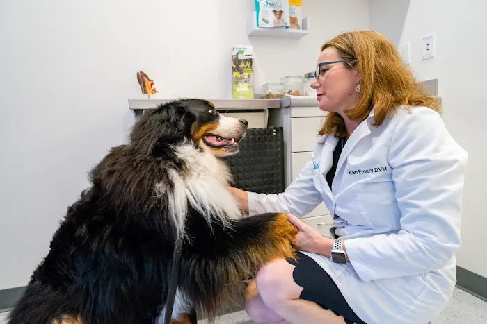 Seatown Veterinary Care 3