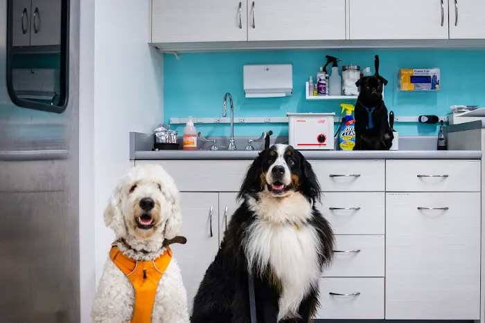 Seatown Veterinary Care 4