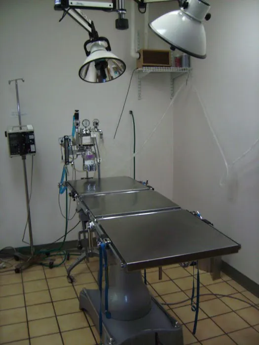 VCA Crown Hill Animal Hospital 8
