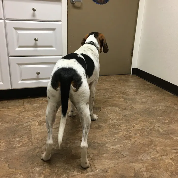VCA Crown Hill Animal Hospital 6