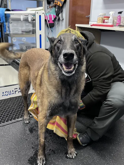 Sunset Hill Veterinary & Rehab Center 5