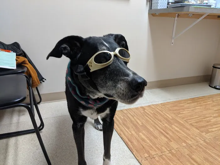 Sunset Hill Veterinary & Rehab Center 7