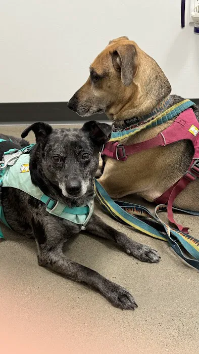 Roosevelt Station Vet Care 12