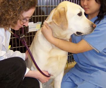 Hawthorne Hills Veterinary Hospital