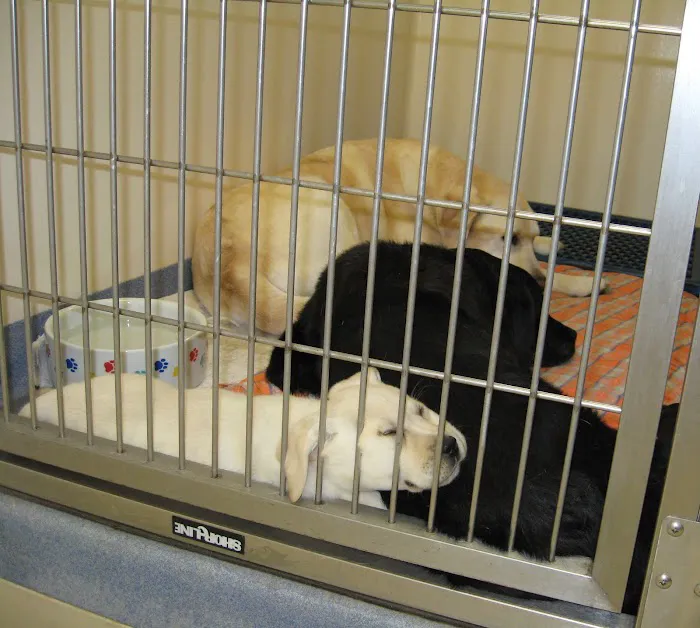 Hawthorne Hills Veterinary Hospital 12