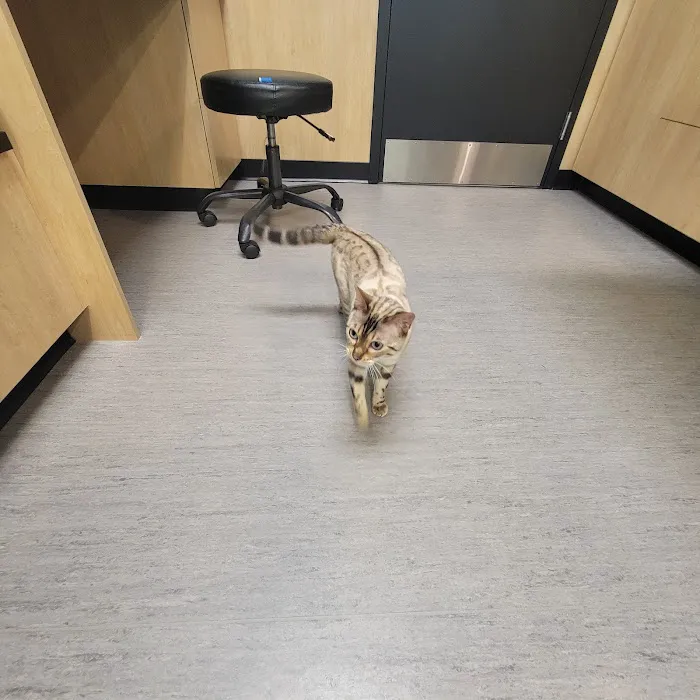 Roosevelt Animal Hospital 10