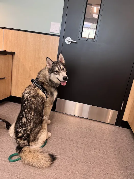 Roosevelt Animal Hospital 5