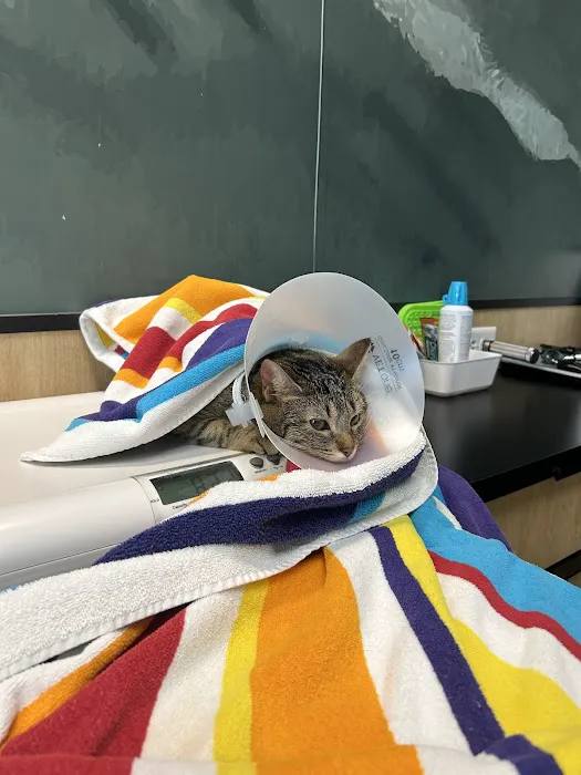 Roosevelt Animal Hospital 6