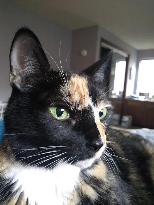 Urgent Care at Green Lake Animal Hospital 3
