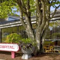 Green Lake Animal Hospital ico