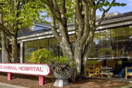 Green Lake Animal Hospital