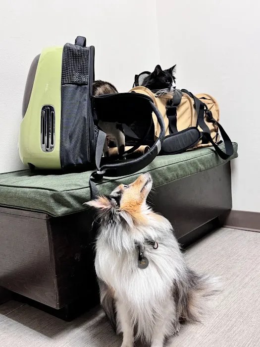 Green Lake Animal Hospital 2