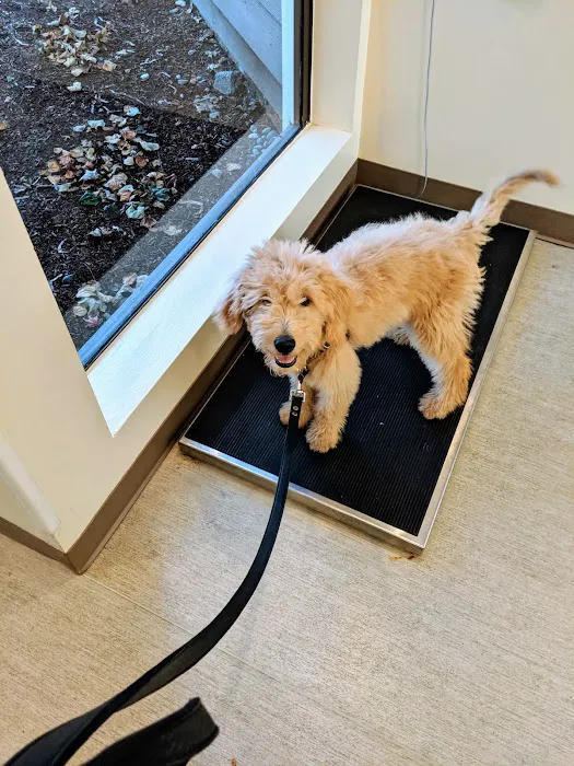 Green Lake Animal Hospital 3