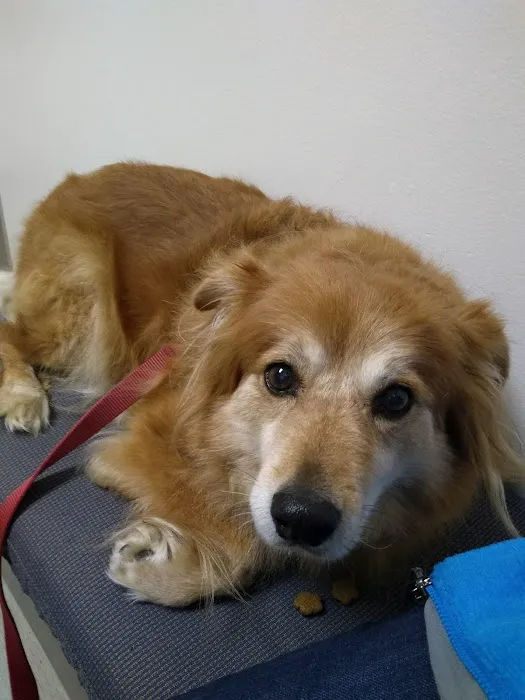 Green Lake Animal Hospital 4