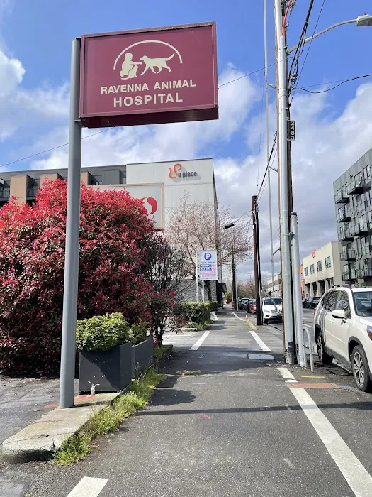 Ravenna Animal Hospital 7